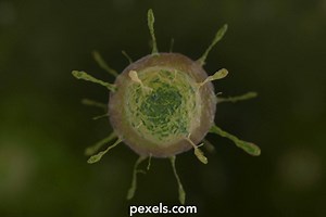 Particle Accelerator Videos, Download The BEST Free 4k Stock Video Footage & Particle Accelerator HD Video Clips