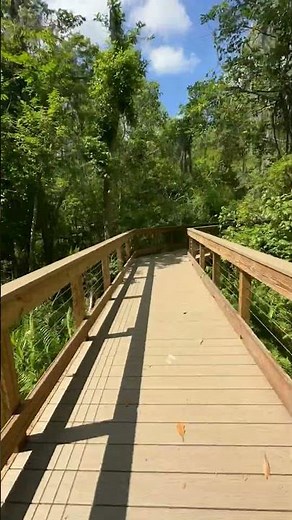Homestead Nature Trail in The Villages
