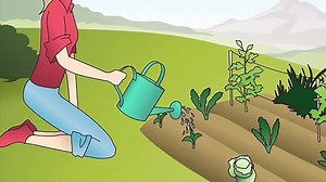 Benedict T. Palen, Jr - How to Use Ladybugs for Pest Control in Indoor Farming