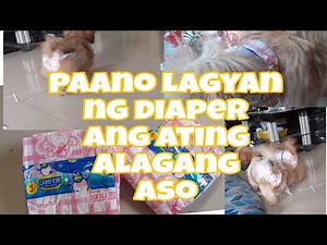 PAANO MAG LAGAY NG DIAPER SA ATING MGA ALAGANG ASO
