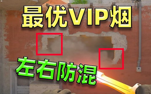 【CS2】优化VIP烟！首发超简单防混烟，厚实的烟出中才安心