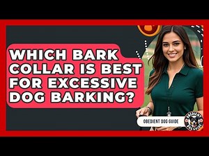 Which Bark Collar Is Best For Excessive Dog Barking? - Obedient Dog Guide
