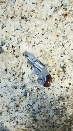 Takedown of the North American Arm 22lr