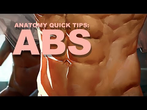 Anatomy Quick Tips: Abs