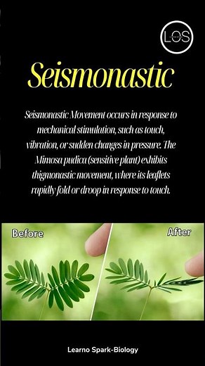 Types of Nastic movements | Control And Coordination Class 10 Biology