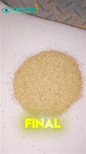 Barsem Seeds Corting | Color sorting machine operation | Unique Carter group call at 09896327066