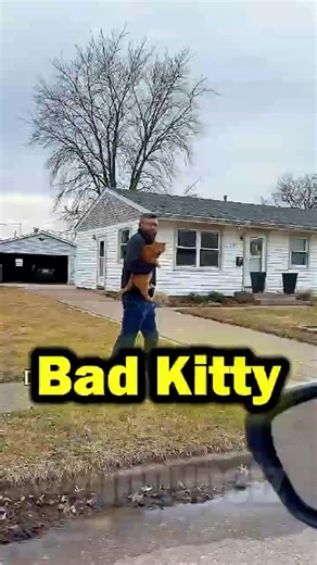 When Your Cat Is the Problem 😂🔥