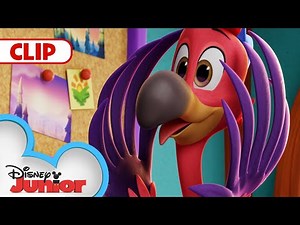 Oh, Brother! | T.O.T.S. | ‪@disneyjr‬