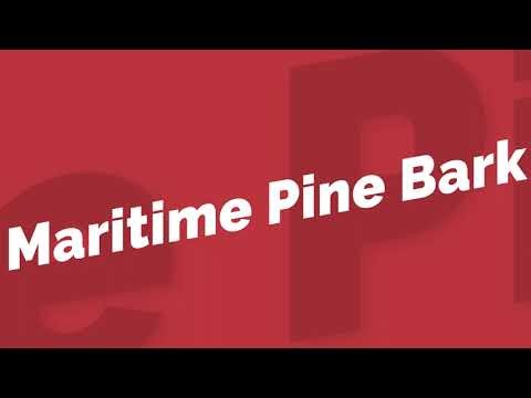 Why This Pine Bark Extract Is a Powerful Antioxidant Essential 🌲✨
