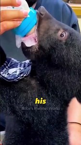 This little bear is learning to live without his mom. 🥹🐻❤️