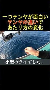 【一つテンヤ真鯛】潮の変化でどう変える？テンヤの号数と「固定vs誘導」でアタリが激変！実釣解説