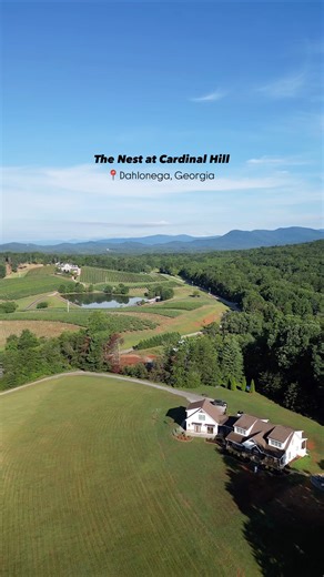 Tucked away on 50 dreamy acres, The Nest at Cardinal Hill is the ultimate mountain escape. 🌄 Private trails, alpacas, and cozy spaces make it perfect for wedding weekends, family trips, or friend getaways! All just minutes from wineries and downtown Dahlonega. 🍷🌲 📍Cardinal Hill Dahlonega | Discover Dahlonega, Georgia