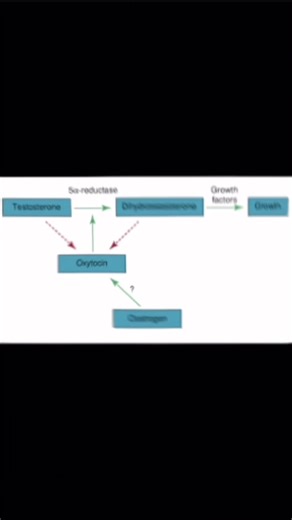 Managing DHT Levels Without Testosterone Alternatives