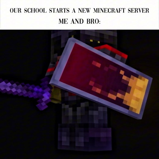 Flame and Wemmbu are unstoppable | tag your bro #fyp #edit #minecraft #unstablesmp #viral