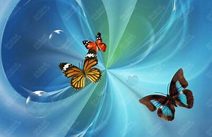 All about Lenticular Printing and Lenticular 3D