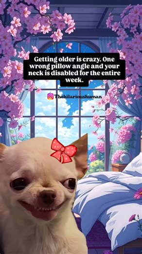 Hilarious Human👤| Funny & Relatable Memes🤡 on Instagram: "If this made you laugh, you officially belong here💕Follow for more hilarious memes 👉 @thehilarioushuman You will never see this page again unless you follow us right now🎯 . . . . . . . . . . #viral #memes #explore #trendingreels #funnyreels viralvideos fun memes funny jokes fyp relatable reelsinstagram reels viralreels trendingreels funreels funnyvideo funnymemes followme relatablereels foryou trendingnow funnyreels"