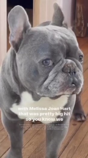 Can’t tell if we crushed this interview or not… 😂 either way- @officialbrotherlylovepod is coming this Friday!!! | Joey Lawrence