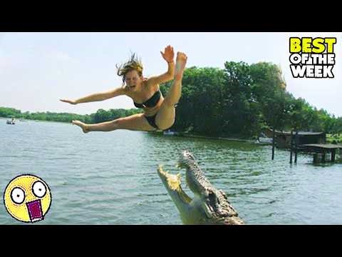 Try Not to Laugh Challenge #30 |🤣 Best Fails of the week