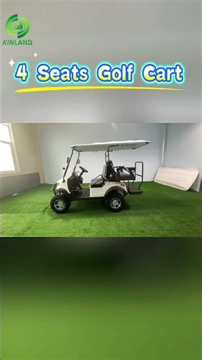 Which is better, a gas or electric golf cart? #electricgolfcart #golfcart #customgolfcart