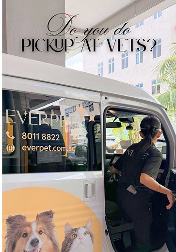 24/7 Pet Care Services for Your Loss