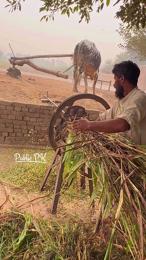 10M views · 140K reactions | Amazing chaff cutter machine | Public Pk | Facebook