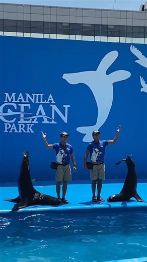 🌊 Dive into a world of wonders at Manila Ocean Park! Experience the cool comfort of our Aquarium while having a splashing good time! 💦 Book your tickets now at https://manilaoceanpark.com/tickets/summer-splash-online-deals/ and join us at Manila Ocean Park for a SEA-sational experience that ticks all the boxes! SEA you there ☀️🐠 #ManilaOceanPark #OceanAdventures #FamilyFun #ConservationEducation | Manila Ocean Park