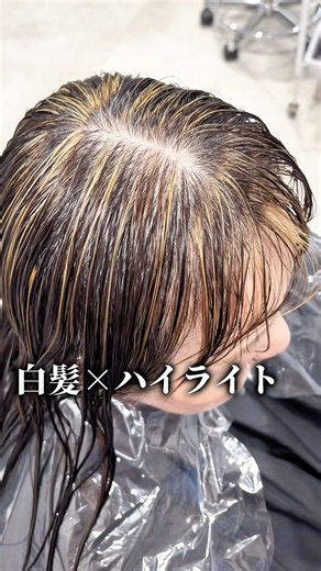 [Gray Blending] Can highlights really hide gray hair...?