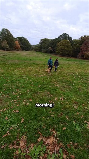 Meet Whisky, a 5-month-old Labrador puppy who was bursting with energy and curiosity from the moment I said hello 🐶 His family already has an older Lab at home — calm, patient, and surprisingly tolerant of Whisky’s constant puppy chaos. #Puppy #labradorpuppy #labrador #dogphotographer #dogportrait | Robinmypictures