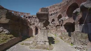 29 reactions · 26 shares | Learn how the Romans flooded the Colosseum...
