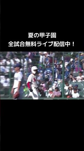 #夏の甲子園 全試合無料ライブ配信！ #バーチャル高校野球 で試合予定をチェック！ 詳しくはプロフィールのリンクからバーチャル高校野球へ！ #高校野球 #甲子園