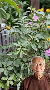 This Ingredient Is 130 Times Stronger Than Lemon – And It's Hiding in Your Home! | Tavares good Tips