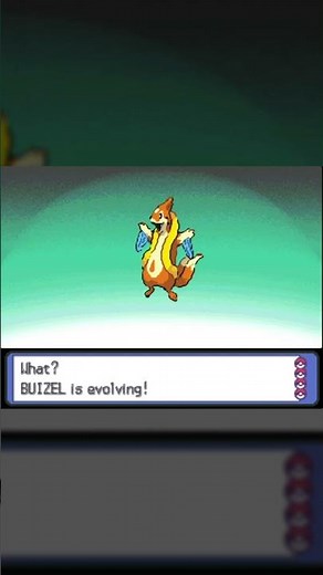 Buizel Evolution in Pokemon Platinum #Shorts
