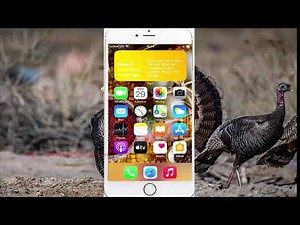 iPhone 7 : How to see Youtube app size and Documents and Data storage usage