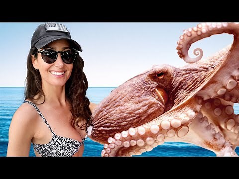 Catching a GIANT Octopus BY HAND! {Catch, Clean & Cook}