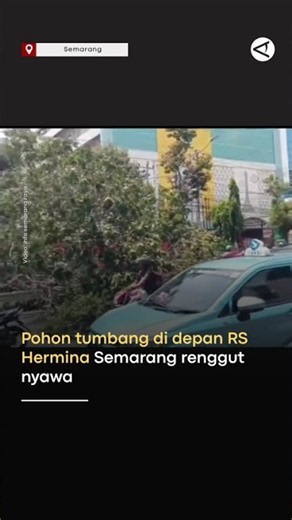 Pohon tumbang di depan RS Hermina Semarang renggut nyawa
