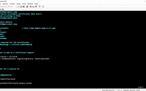 怎么生成一个openssl san证书