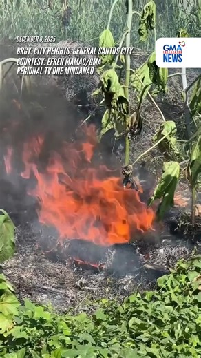 Nagkaroon ng sunog sa damuhan sa isang pribadong lote sa Barangay City Heights, General Santos City nitong Lunes ng umaga, December 8, 2025. Abangan ang kabuuang detalye mamaya sa GMA Regional TV One Mindanao, 5:10 PM. | via Efren Mamac/GMA Regional TV One Mindanao | GMA News