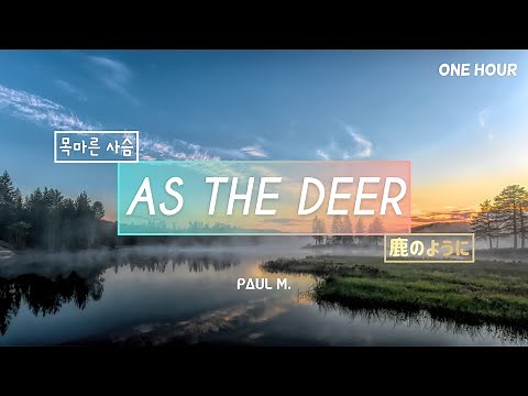 As The Deer - One Hour of Praise & Worship on Piano⎪Peaceful Prayer Instrumental // PAUL M. 공민