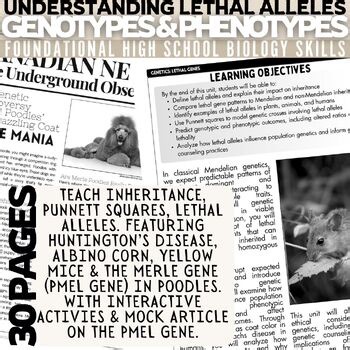 Lethal Alleles Genes lesson, sub plans, inheritance Genetics worksheets