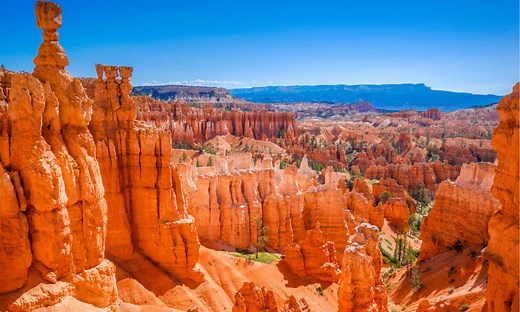Your Ultimate Wildlife Checklist for Bryce Canyon National Park
