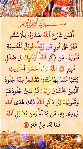 Heart Soothing Quran Recitation |Surah Az-Zumar (The Crowds) | Sheikh Maher Al Muaiqly