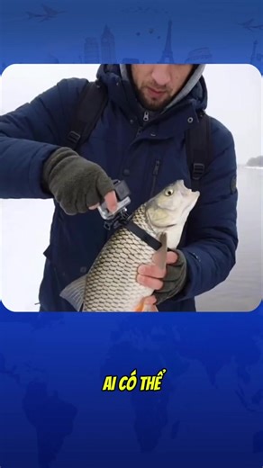 Khám Phá Bí Mật Dưới Đại Dương