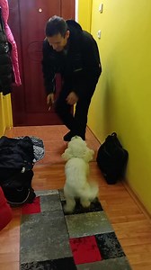 Fericire mare revedere după două luni de așteptare bine ai venit acasă tati!!!🥰🥰🥰 | Mihai Maria