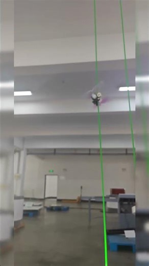 The Flying Butterfly: A Mechanical Marvel Exploring the Science of Friction!