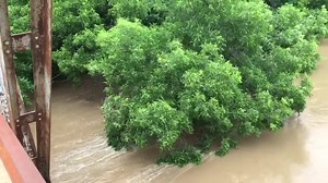 Meteorologist Stephen Decatur shot this video of a flooded Pecan Bayou in Burkett. It's all headed to Lake Brownwood. | KTAB News