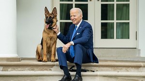 Bisse im Weißen Haus: Biden hat ein Hunde-Problem