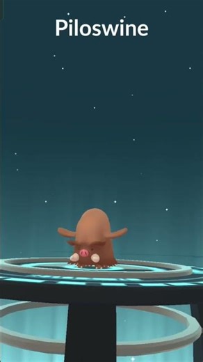 swinub has evolved in piloswine or piloswine has evolved in mamoswine