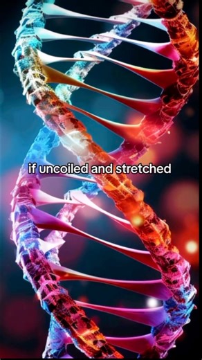 SCIENCE FACTS THAT YOU PROBABLY DIDN’T KNOW! 🔬🧪🧫 #sciencefacts #scienceisfun #scienceeducation #opportunities #DidYouKnowThis #SpaceExploration #spacelover #humanbody #humans #scienceforkids #physics #biologystudent #chemistryclass #schoolhacks #schoolcommunity #CollegeCommunity | Fact Mania