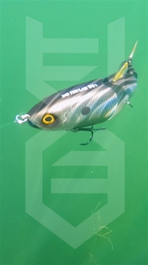 The FishLab Hard Swimbait is here and making waves with its incredible side-to-side swimming action that drives big fish wild! Whether you're targeting bass, pike, or anything that hunts, this bait brings realism and results. Available now at your favorite tackle shop or online at fishlabtackle.com #FishLabTackle #HardSwimbait | FishLab Tackle