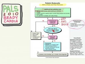 PALS 07: Bradycardias